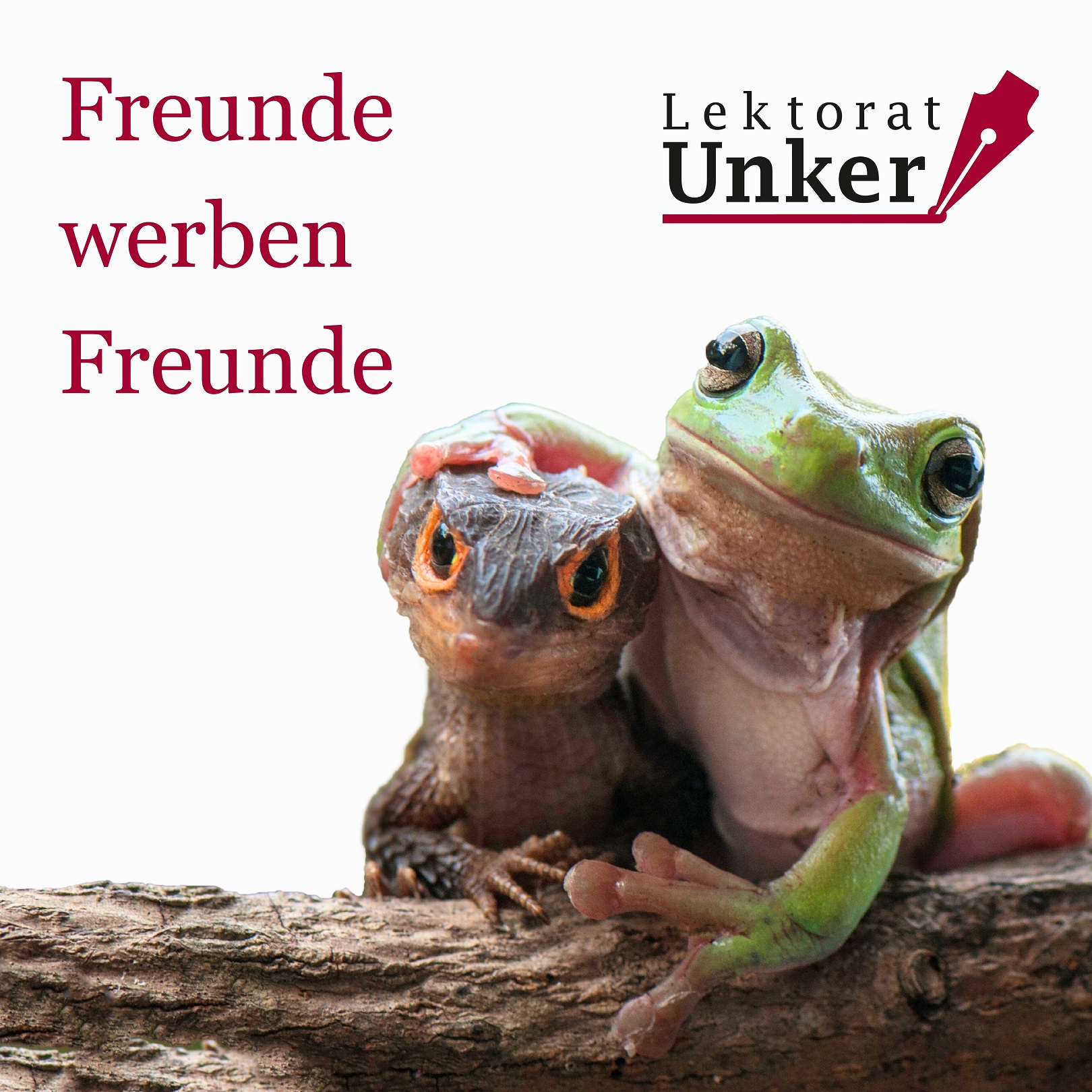 Freunde-werben-Freunde-Programm vom Lektorenausbilder Evgenij Unker.